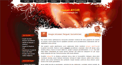 Desktop Screenshot of hasanaygir.com